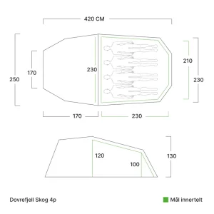 dovrefjell-skog-4p